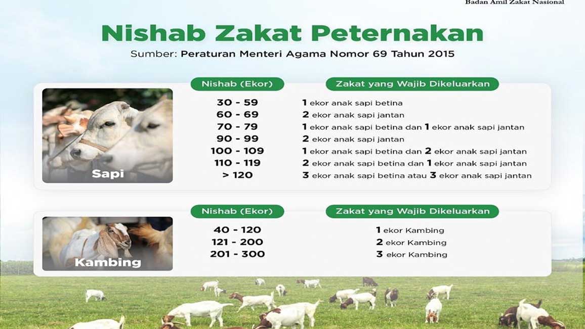 Zakat Peternakan  dan Perikanan